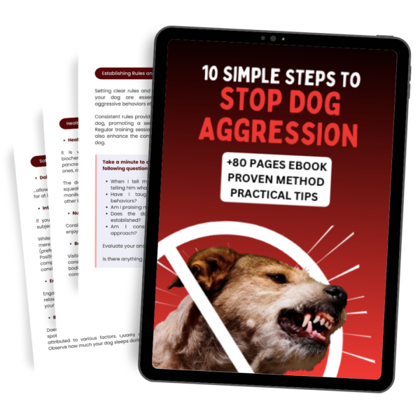 E-book: How to Handle Dog Aggression in 10 Simple Steps?