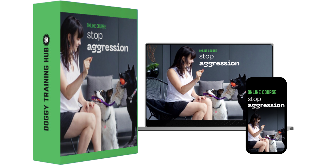 Online Course Stop Aggression