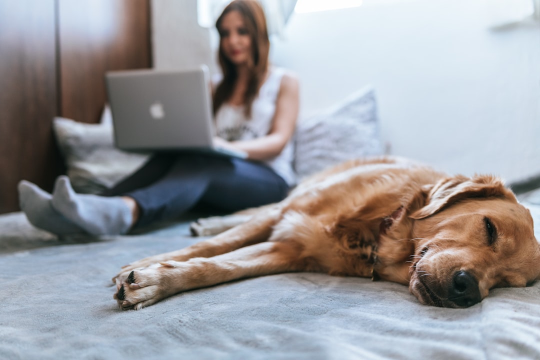 EBook, '10 Simple Steps to Stop Dog Aggression'